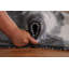 Tapis indien moderne abstrait