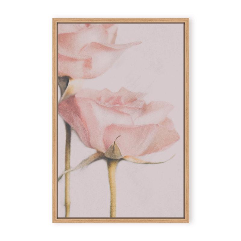 Nature Inspired Two Roses by  - Picture Frame Photograph on Paper, 36" H x 24" W x 1.125" D, Black, Framed Matted Print