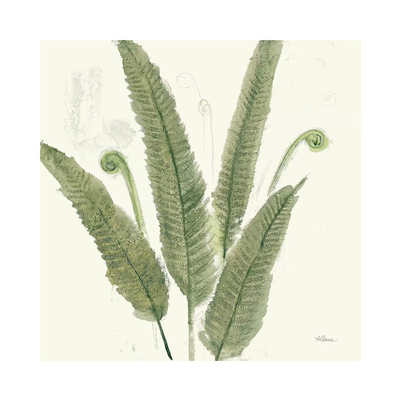 Forest Ferns II Dark 1 Piece Painting on Canvas, 66.04cm H x 66.04cm W x 3.81cm D, Wrapped Canvas