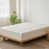 Cream White