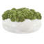 Sedum Arranged in a Stone Planter-1985559459-2010919692