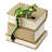 Siniard Tree Frog Shelf Sitter Figurine-1587397295