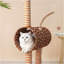 Arbre à chat girafe - Tour d'escalade avec poteaux à griffer en sisal, perchoirs confortables pour chats
