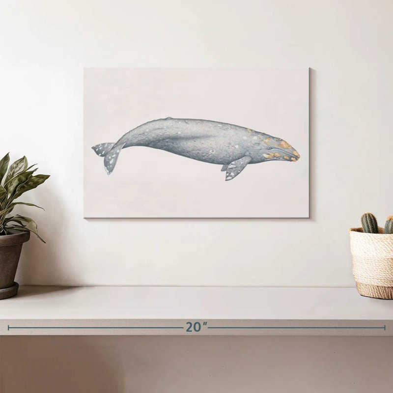 Brampt Gray Whale, 8" H x 12" W