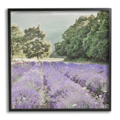 «Lavender Meadow Fields», impression encadrée sur bois