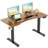 47'' Electric Height Adjustable Standing Desk Built-In Electrical Outlet With 4 Lockable Casters, 2 Hooks-917377282
