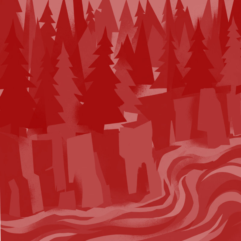 Rideaux de douche Pine River, L 70 po x H 84 po, Rouge foncé / rouge moyen