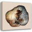 «Union Rustic Lewis, Sheldon Gallery», art sur toile tendue: Tree Ring Stump 1-79248182
