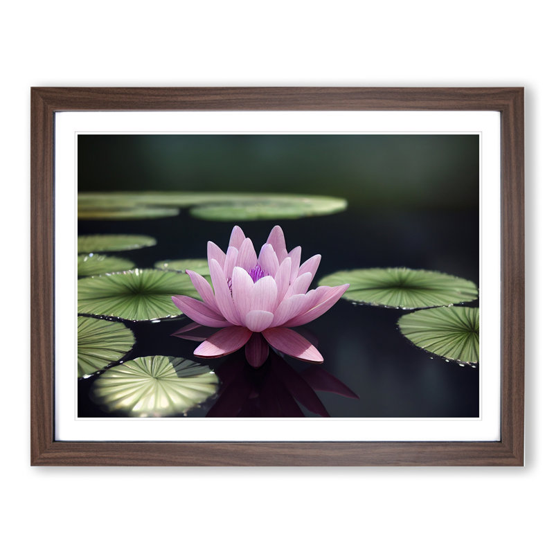Expressive Water Lily Flower - Single Picture Frame Print, 25cm H x 34cm W x 2cm D, Walnut