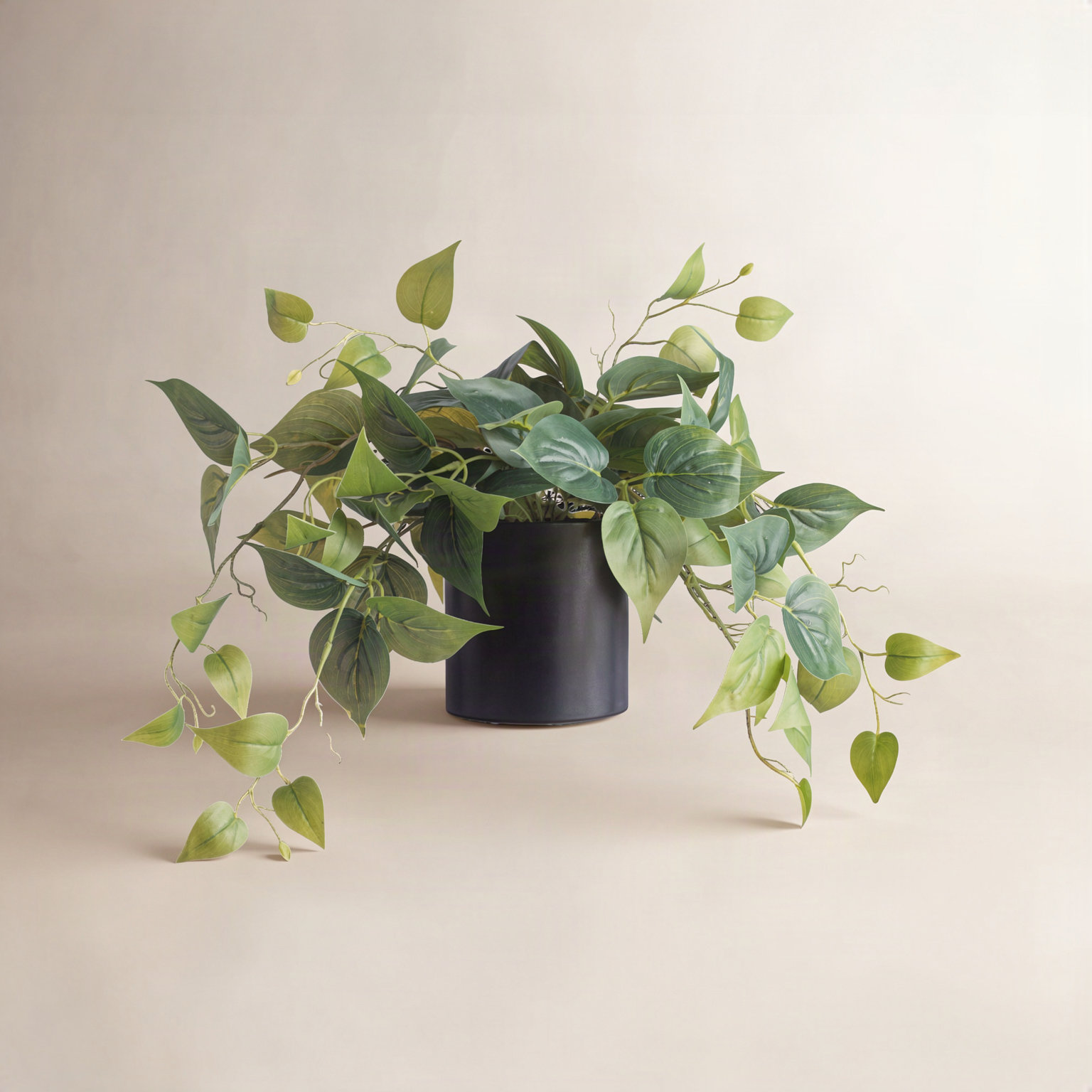 14" Pothos Plant in Pot, Black, 1