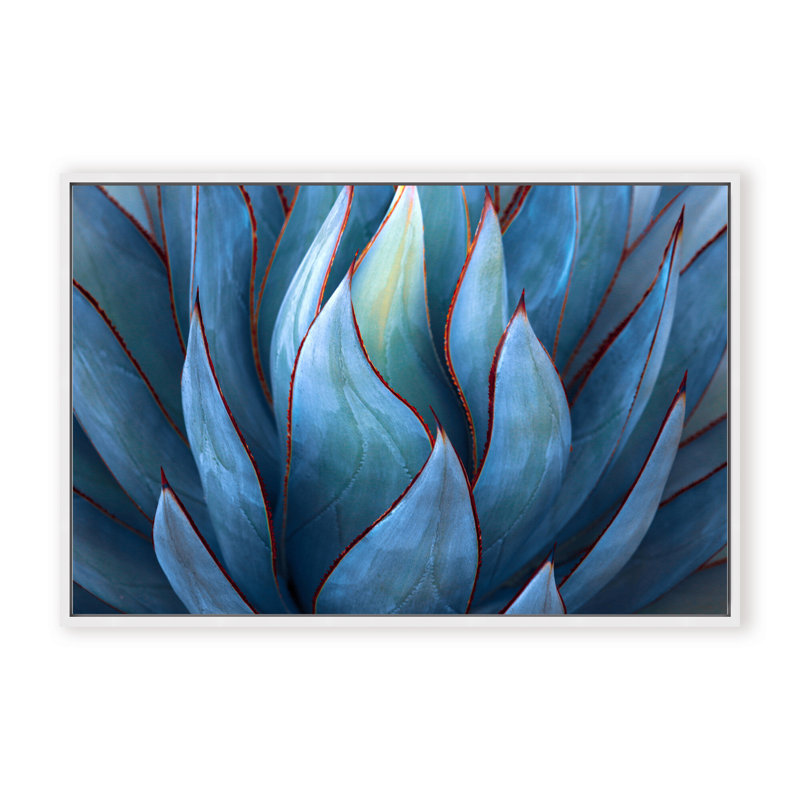 Nature Inspired Blue Agave Abstract by  - Picture Frame Graphic Art on Paper, 16" H x 24" W x 1.125" D, Black