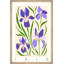 «Wild Iris Flowers», reproduction encadrée-2068960447