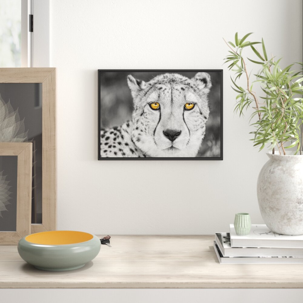 Gerahmtes Wandbild ruhender Gepard