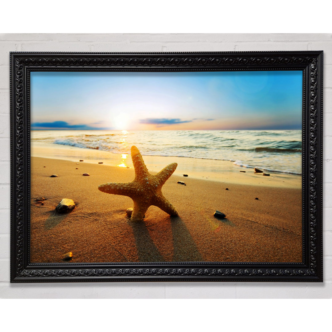 Starfish Sun Glow - Einzelner Bilderrahmen Kunstdrucke