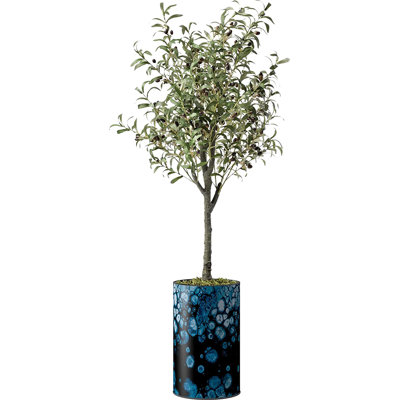 Arbre artificiel avec vase effet lézard bleu et blanc Signleader, faux olivier pour salon, chambre à coucher, bureau - 5 pieds (60 po)