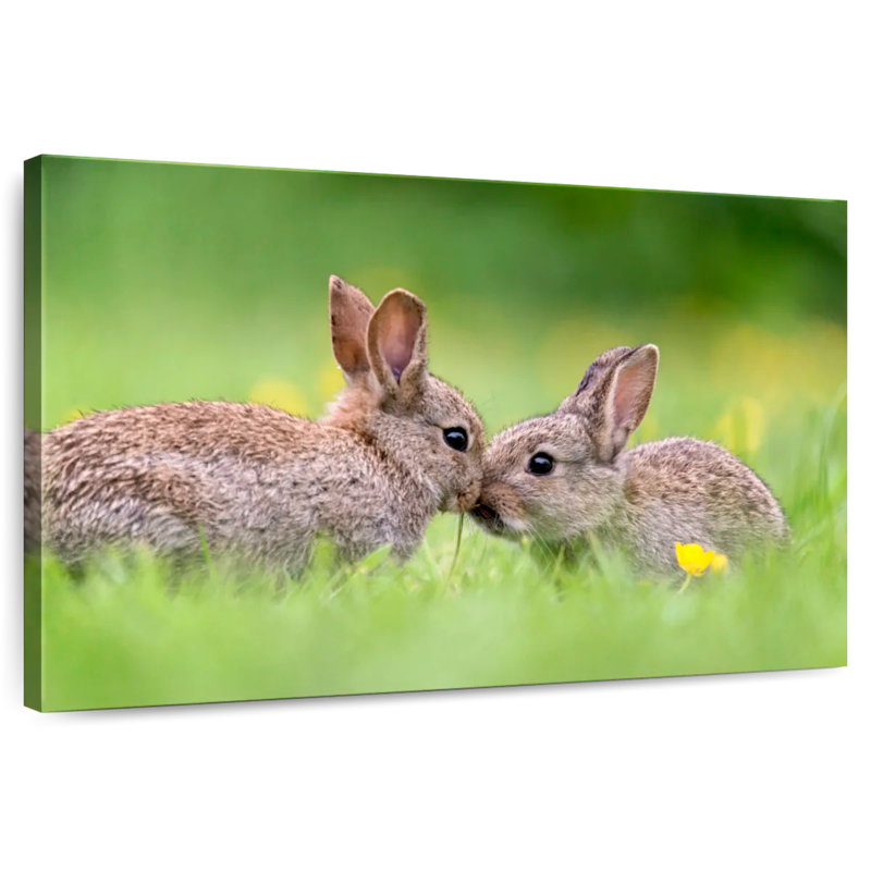 Brampt embrassant des lapins, H 32 po x l 48 po