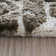 Bucklin Indoor Rug