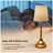16.1 "Table Lamp,Rechargeable Cordless Table Lamp with Large Battery Capacity and Type-C Port,ClassicTouch Control Dimmable Bedside Lamps for Bedroom,Living Room,Dining Room and Reading