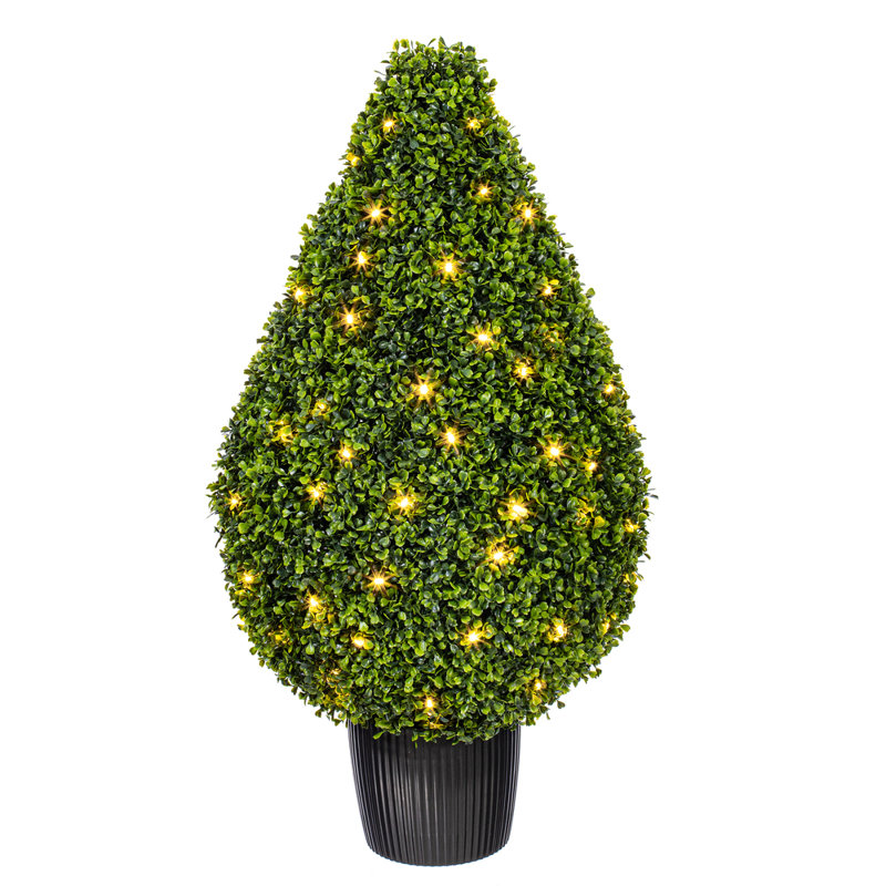 Buisson en forme de goutte de buis en forme de buisson, H 36 po x l 20 po x P 20 po