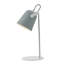 Addilyn Metal Desk Lamp-20785828