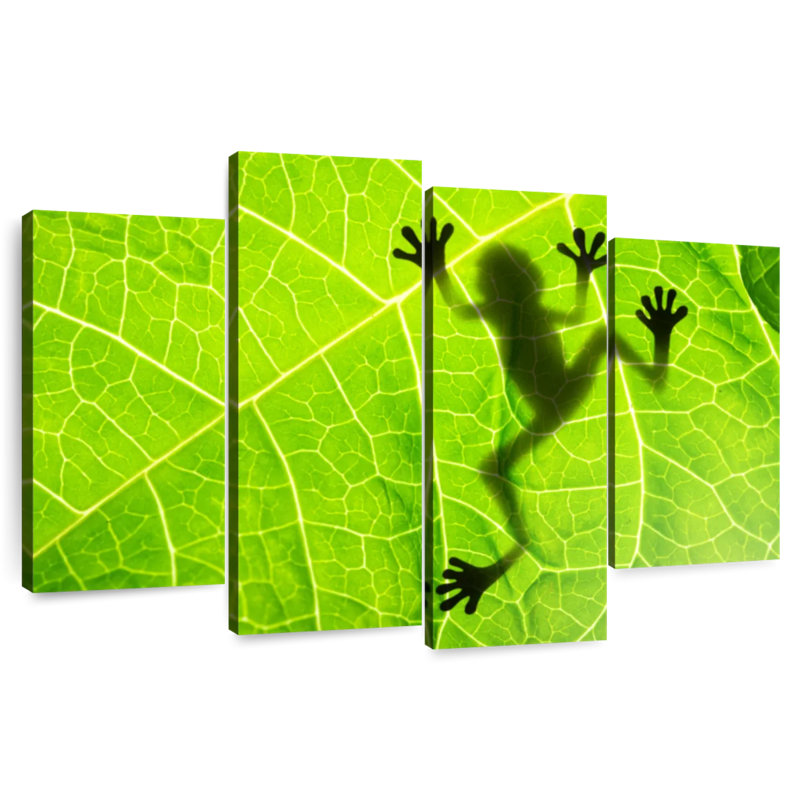 Ombre à feuilles de grenouille Brampt, H 22 po x l 36 po