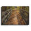 «Fall On The Footbridge» par Tim Oldford-1439935082