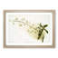 Magnolia Flowers Illustration Tab. 95 by Frederick Sander - Picture Frame Art Print-55576745-55576747