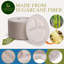 Assiettes en papier compostables jetables 9 pouces