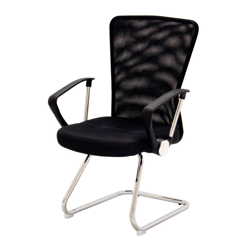 Eva Mesh Conference Chair