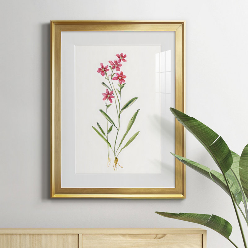 Delicate Pink II - peinture encadrée, Or, H 22,5 po x l 30,5 po x P 1,5 po