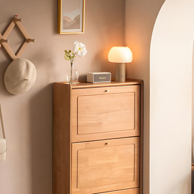 Modern simple and fashionable storage shoe cabinet