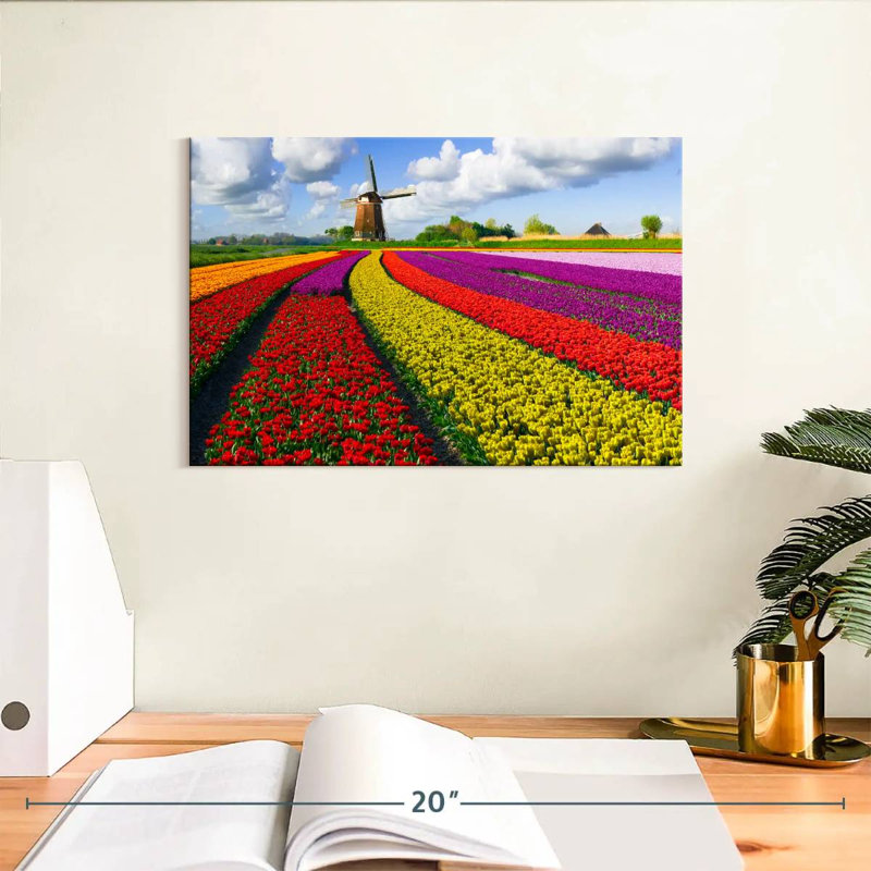 Ferme de tulipes pittoresque Alvord, H 8 po x l 12 po
