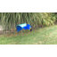 Art de jardin blue ara