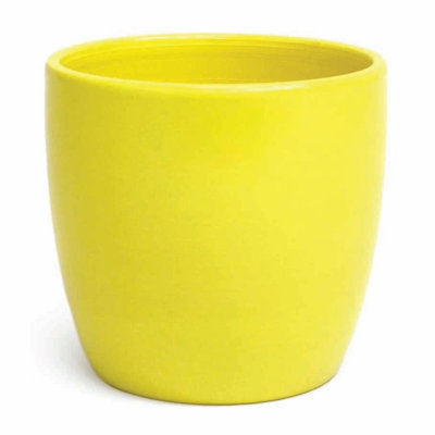 Bright Yellow Planter