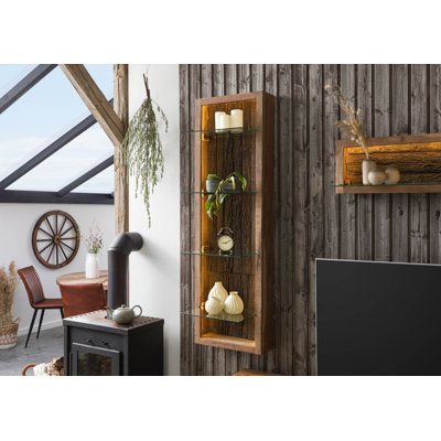 Wall Mounted Curio Cabinet with Lighting