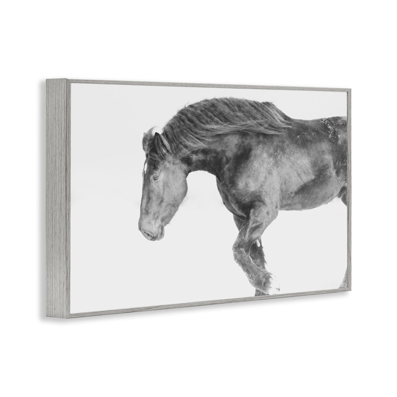Hiver, étalon d'hiver au galop, estampe numérique, design par Amy Carroll, H 16 po x l 24 po, Estampe numérique Farmhouse