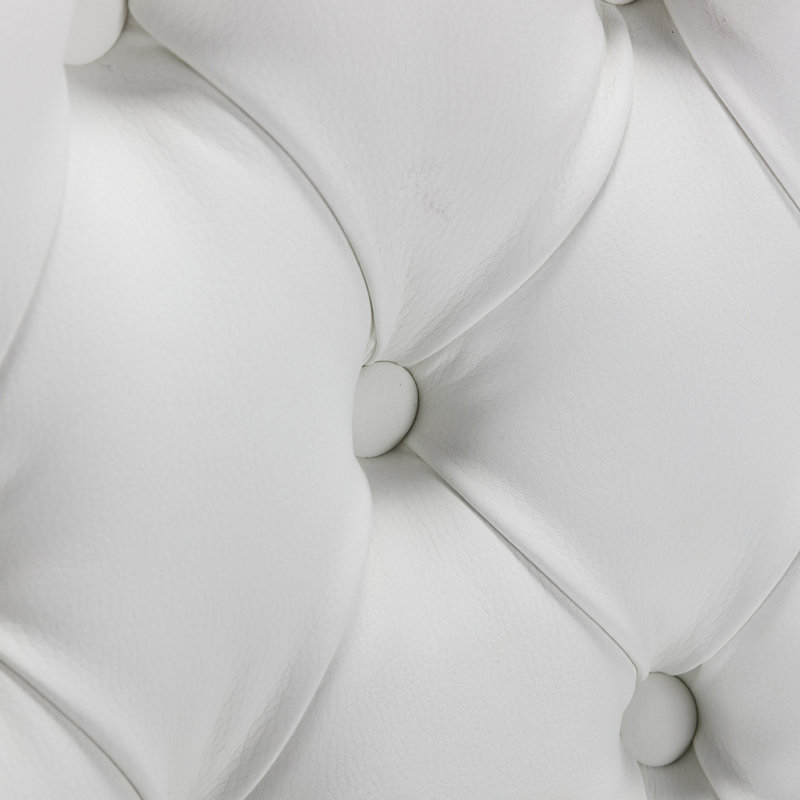 Paire de chaises de salle à manger modernes en similicuir et velours, blanches et bleues, pattes en bois massif, élégante garniture cloutée, SW2101WL. Modèle rembourré contemporain, 2 chaises, velours, structure, captivant.
