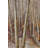 Forest - Brown Landscapes Framed Canvas for Home Decor
