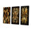 Golden Lily on Black I - ensemble de 3 reproductions sur toiles tendues