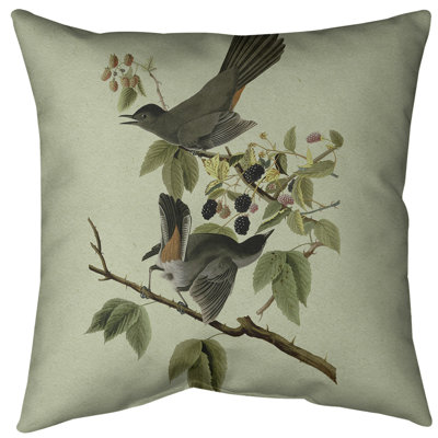 Cat Bird-Themed Throw Pillow with Insert – John James Audubon Collection, Double-Sided & Washable
