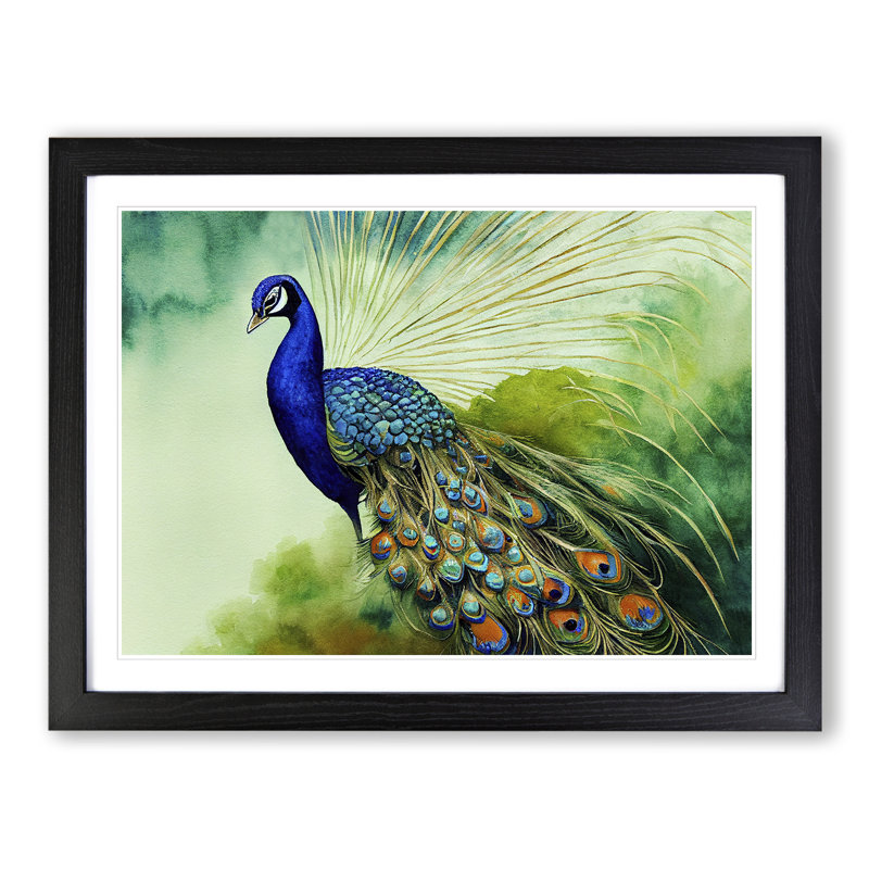 Watercolour Peacock - Single Picture Frame Print, Black Framed, 25cm H x 34cm W x 2cm D