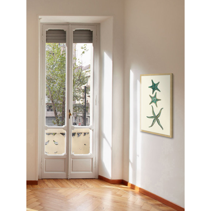 «Aqua Starfish», reproduction encadrée, H 24 po x l 16 po x P 1,5 po