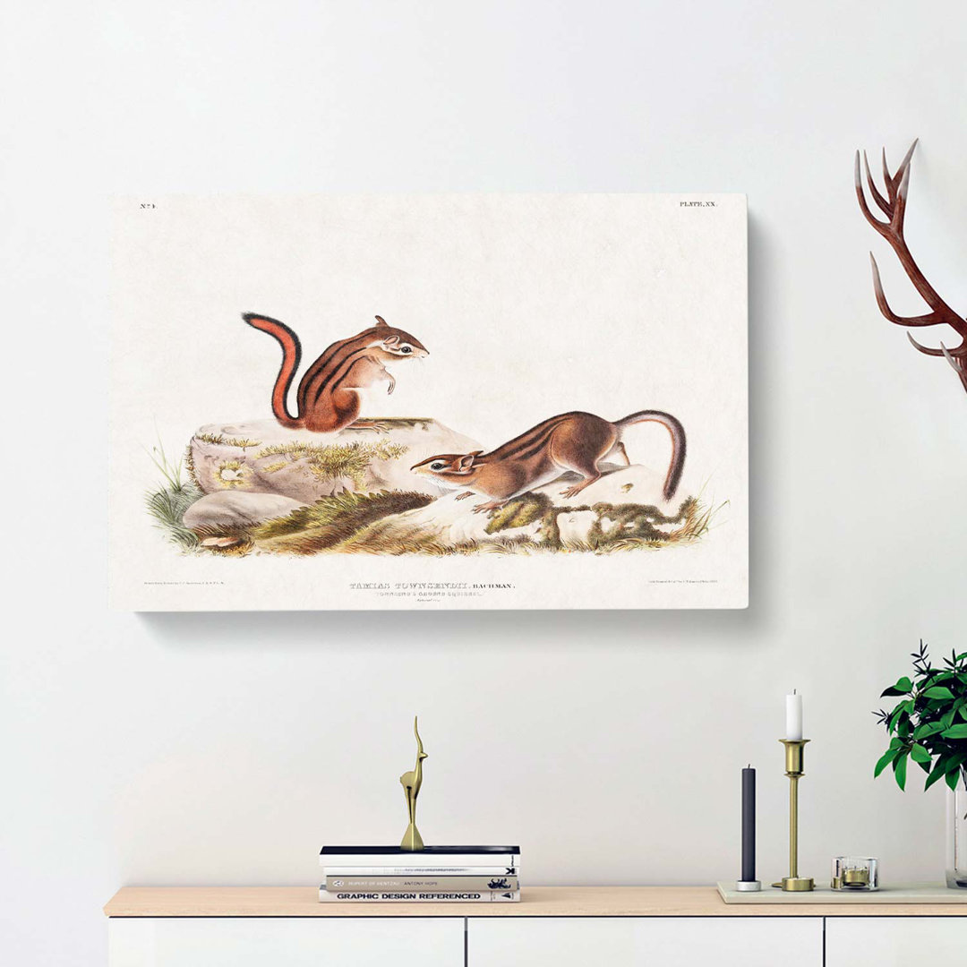 Ground Squirrels by J.W. Audubon - Wrapped Canvas