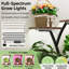 67.32'' Plant Stand with Grow Lights-108989197