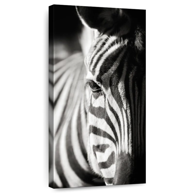 Détails du zèbre, H 30 po x l 15 po