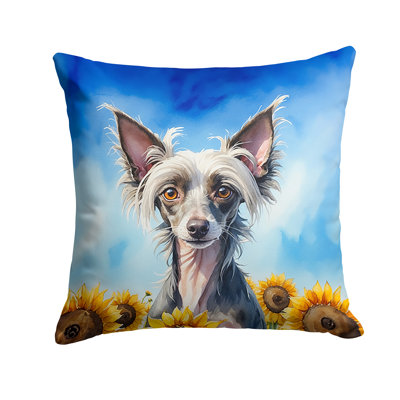Other/No Pattern Indoor/Outdoor Throw Pillow