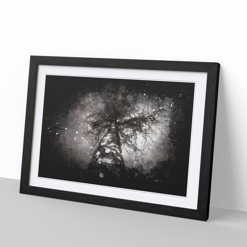 Birch Tree - Picture Frame Graphic Art, 27cm H x 36cm W x 2cm D, Black