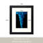 Ensemble de cadres muraux avec plexiglas Dreketi-314580384-314580398