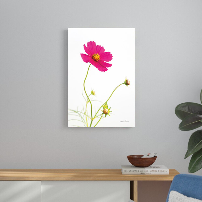 Magenta cosmos I - impression, H 30 po x l 20 po