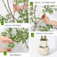 Arbre Nandina artificiel 5/6 / 7ft en pot - Faux plante de sol avec pot de fleurs blanc pour la décoration de bureau personnel-1096903633